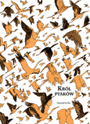 Król ptaków